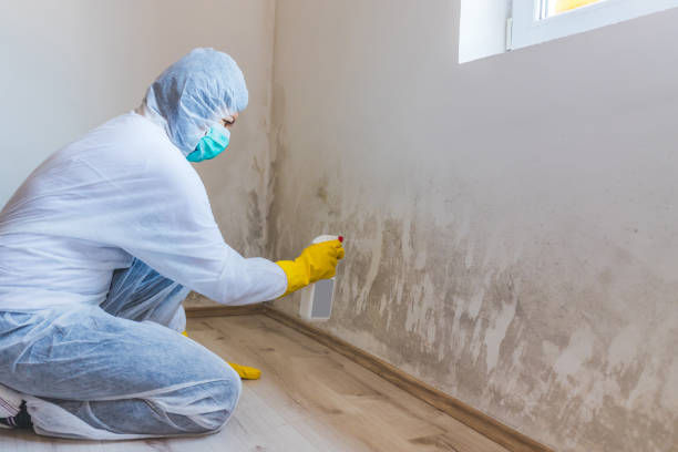 Commercial Mold Remediation assessment for commercial property in Millerstown