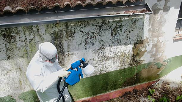 Mold Removal service in Millerstown